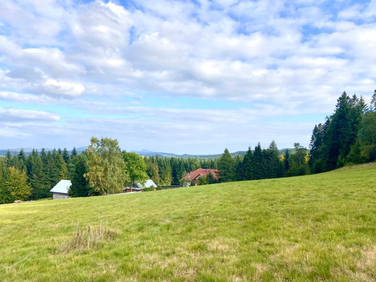 Villa Agroturystyka Sarni Stok Krynica-Zdrój Exterior foto