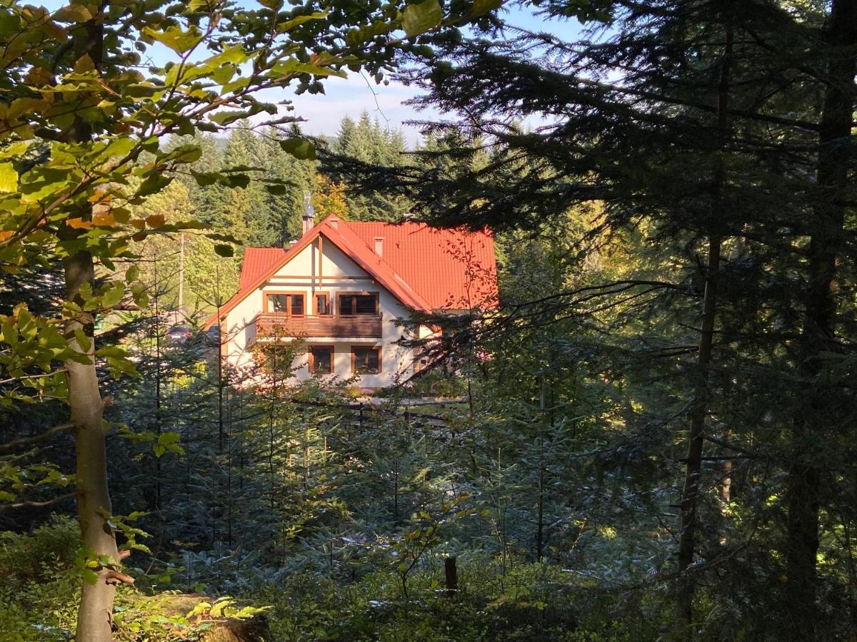 Villa Agroturystyka Sarni Stok Krynica-Zdrój Exterior foto