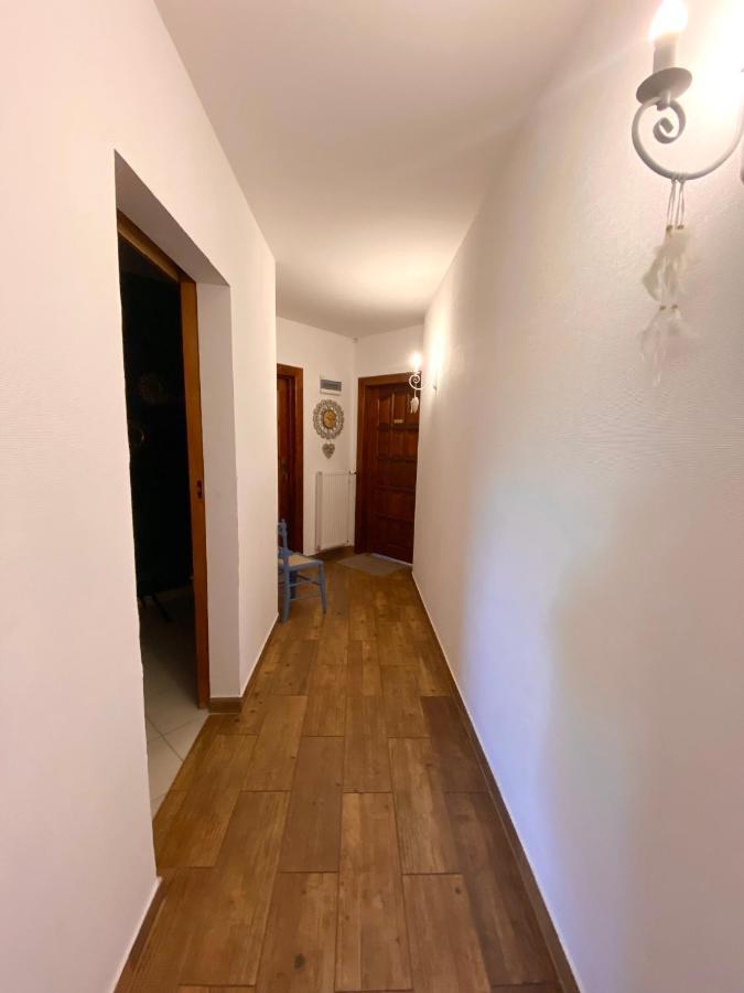 Agroturystyka Sarni Stok Krynica-Zdrój Exterior foto